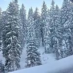 公寓 在潘波洛沃滑雪&度假公寓酒店