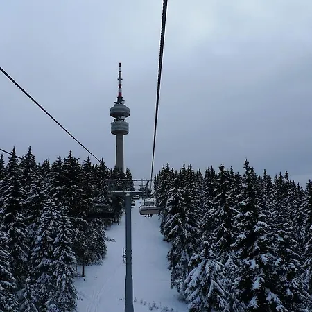 Apartment & In Pamporovo