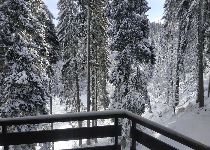 & In Apartment Pamporovo