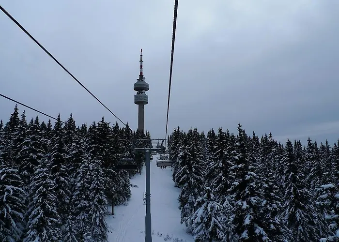 Apartment & In Pamporovo